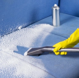 Before Cleaning